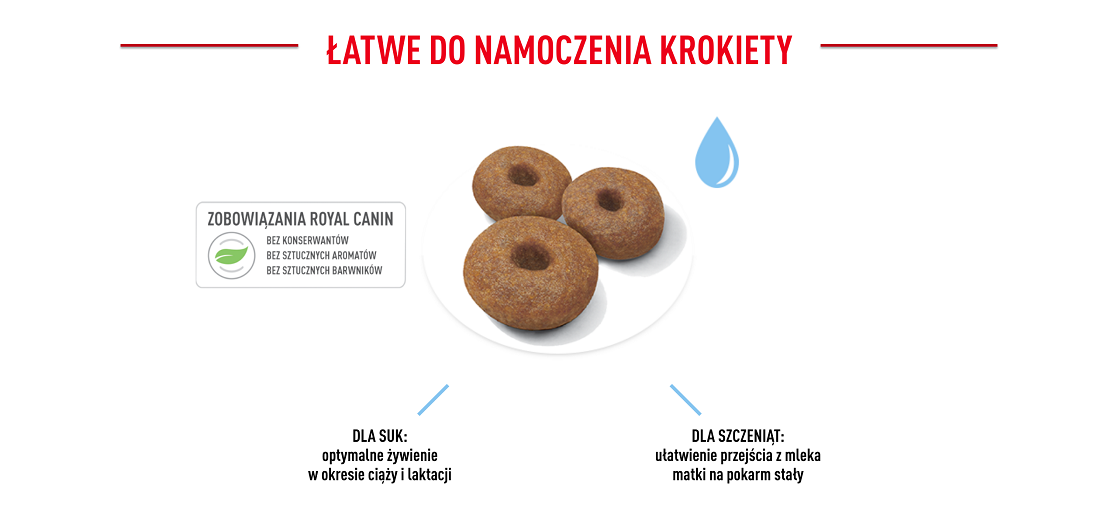 ROYAL CANIN Maxi Starter Mother&Babydog 15 kg